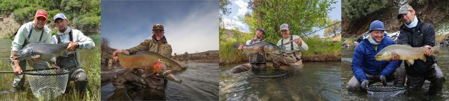 banner image for RIGS Fly Shop & Telluride Angler